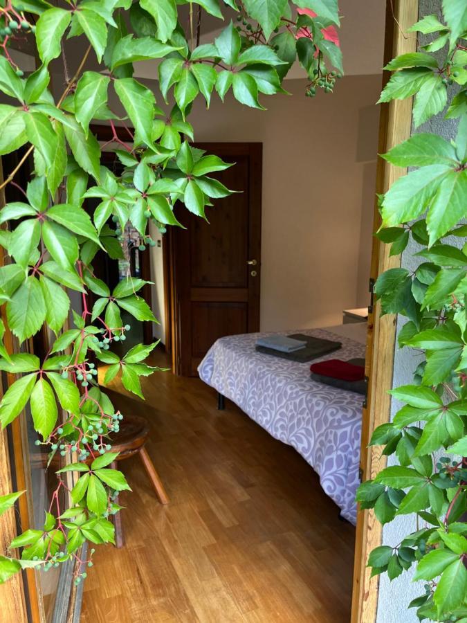 Chalet Blanc "Le Flocon" 쿠르마예 외부 사진